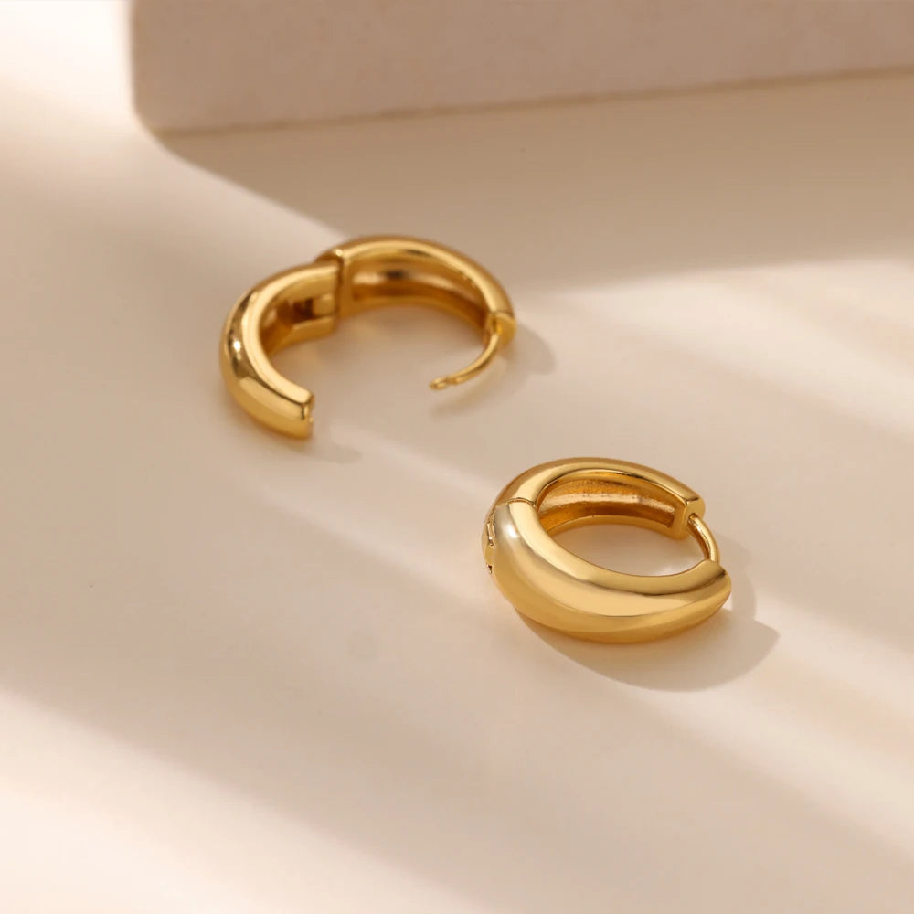 Classic Hoop Earrings for Women Girls Gold Color Chunky Stainless Steel Earrings 2025 Trend New in Minimalist Ear Jewelry aretes