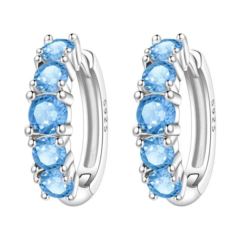 MISEFF Original 925 Sterling Silver Earrings 2025 Hoop Earring Crystal Earings For Women Simple Round Zircon Earing Jewelry