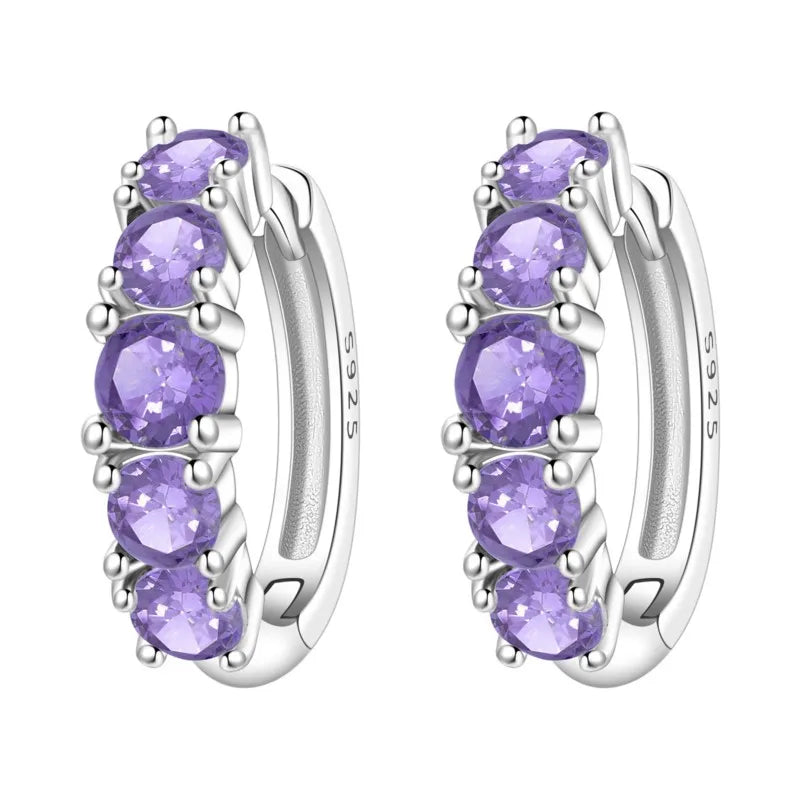 MISEFF Original 925 Sterling Silver Earrings 2025 Hoop Earring Crystal Earings For Women Simple Round Zircon Earing Jewelry