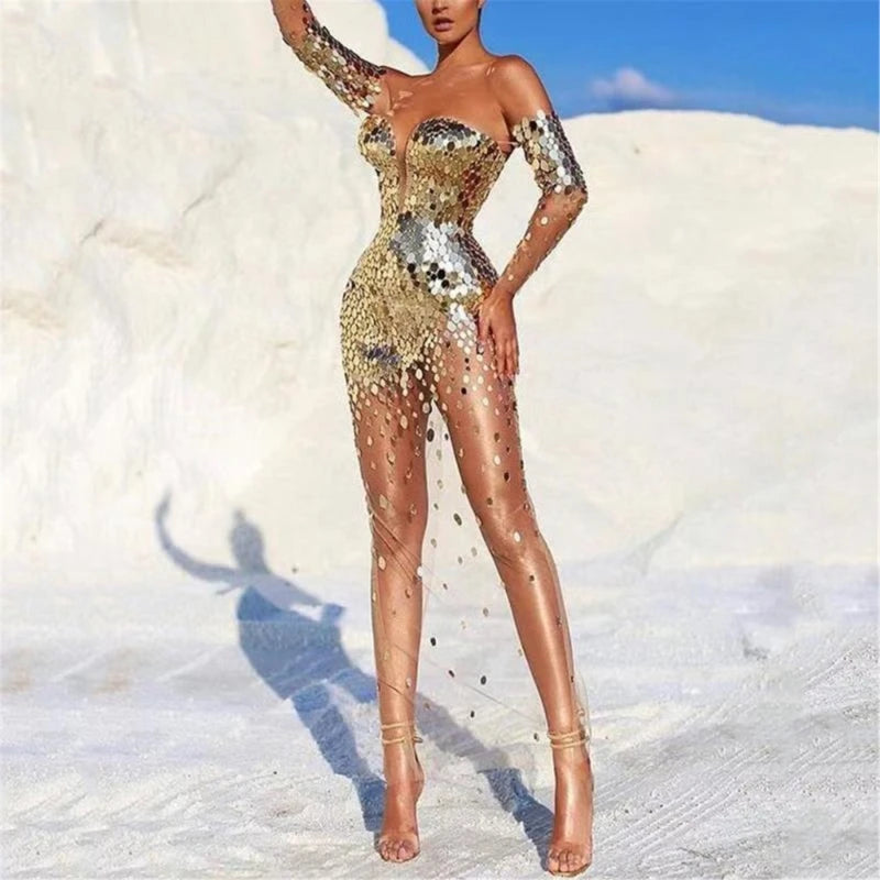 Long Sleeve Glitter Sequined Dress - Mesh Bodycon Evening Dress
