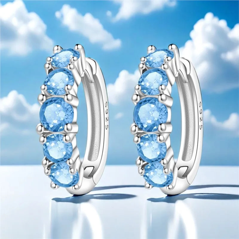 MISEFF Original 925 Sterling Silver Earrings 2025 Hoop Earring Crystal Earings For Women Simple Round Zircon Earing Jewelry