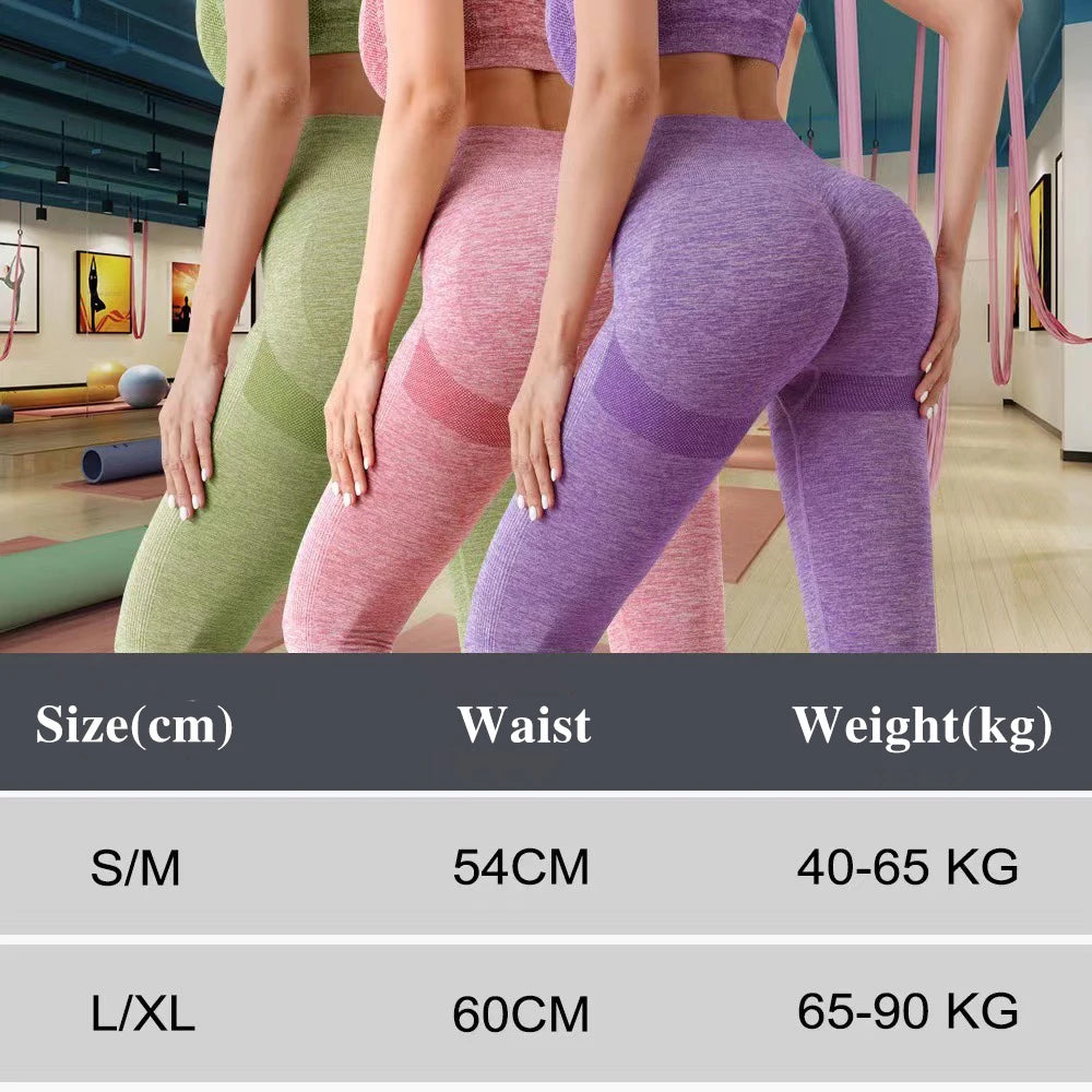 Yoga Set Gym Shorts Women Sport Bras Brassiere Workout Shorts for Women Yoga Clothes Fitness Leggings Gym Set Seamless Yoga Bra