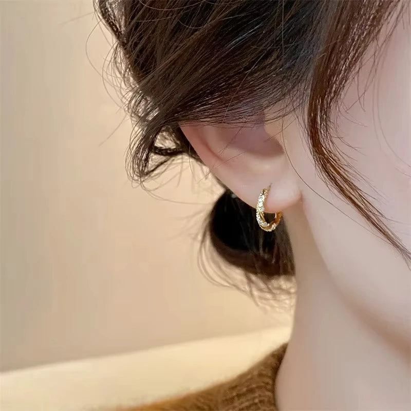FTCY Simple Luxury Zircon Metal Hoop Earrings For Women Exquisite Small Round Circle Earrings Women's Jewelry Gifts
