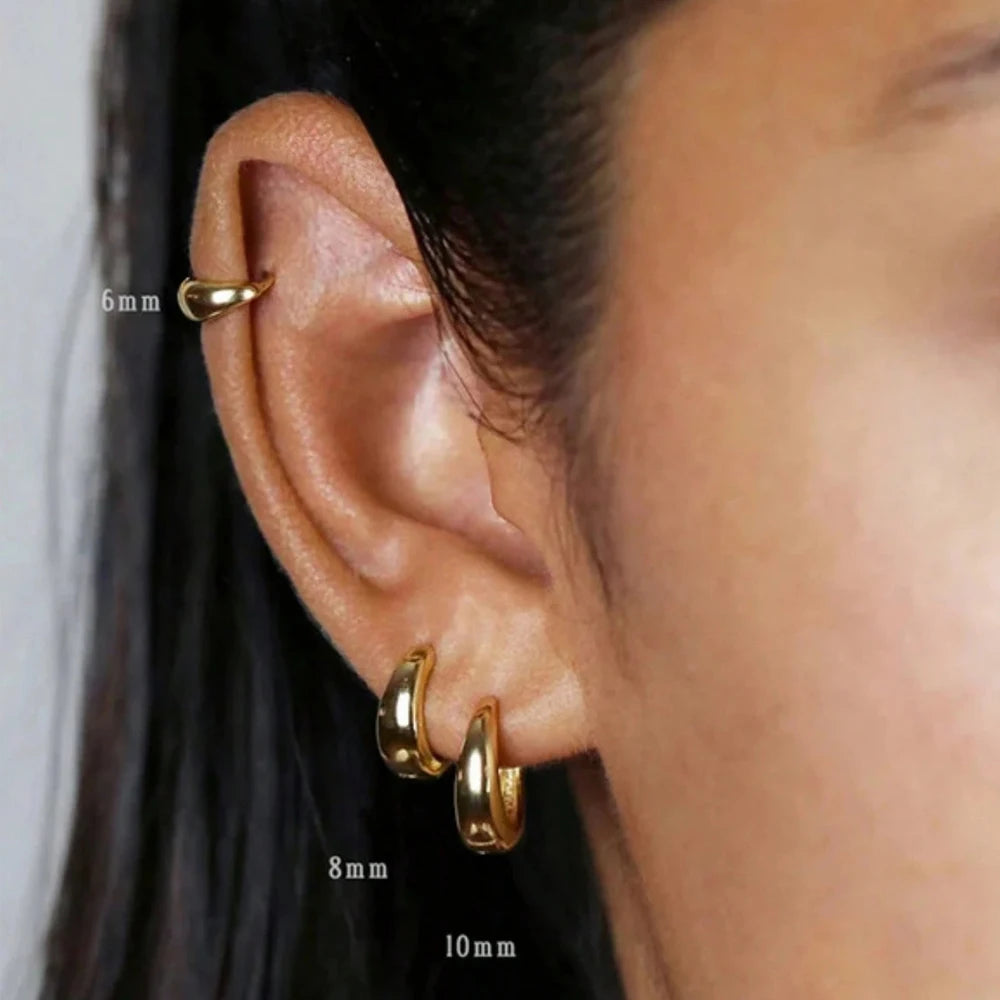 Classic Hoop Earrings for Women Girls Gold Color Chunky Stainless Steel Earrings 2025 Trend New in Minimalist Ear Jewelry aretes