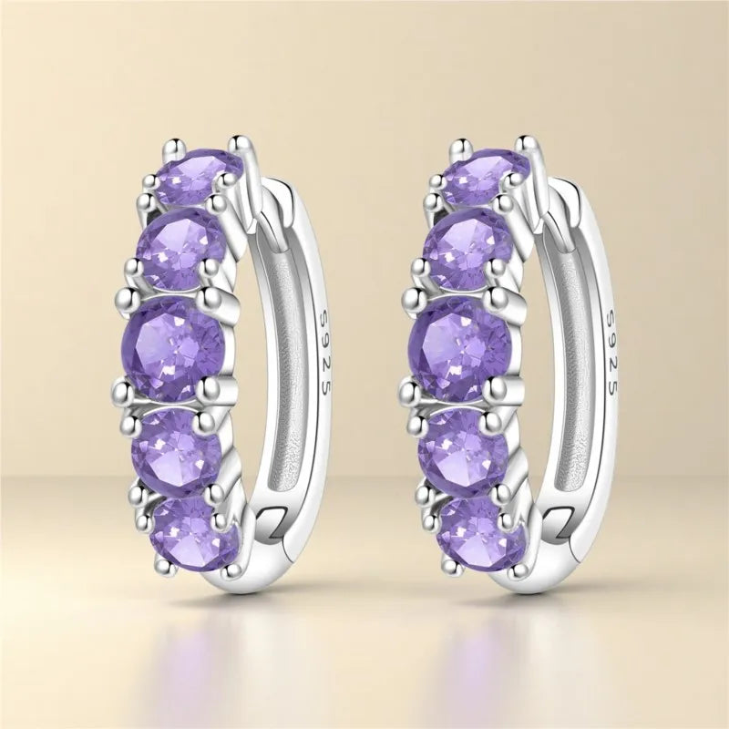 MISEFF Original 925 Sterling Silver Earrings 2025 Hoop Earring Crystal Earings For Women Simple Round Zircon Earing Jewelry