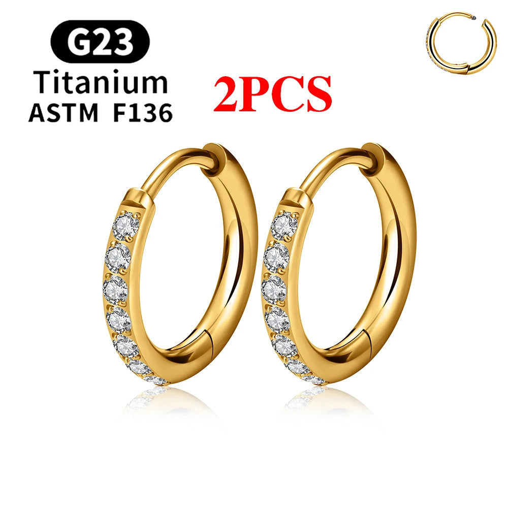 2/20PCS G23 Titanium Earring Hoop CZ Hinged Segment Round Nose Ring for Women Ear Tragus Cartilage Helix Daith Piercing Jewelry