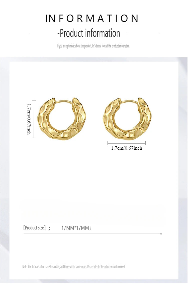 New Hot Sell Trendy 925 Sterling Silver Circle Earrings for Women Real Silver Ear Hoop Earrings