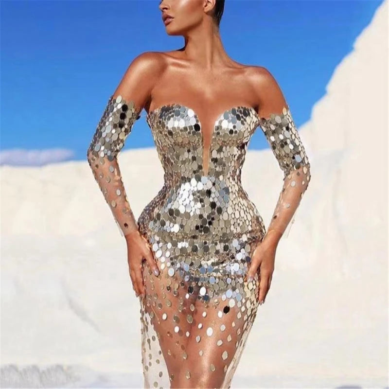 Long Sleeve Glitter Sequined Dress - Mesh Bodycon Evening Dress