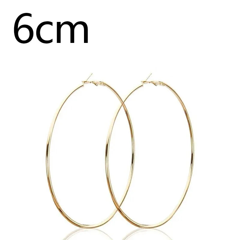 2pcs 30-100mm Small Big Circle Hoop Earrings for Women Men, Stainless Steel Ear Ring Fashion Jewelry Gift Nightclub DJ