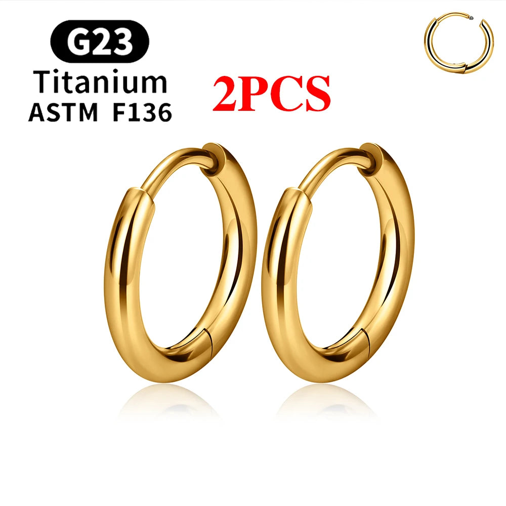 2/20PCS G23 Titanium Earring Hoop CZ Hinged Segment Round Nose Ring for Women Ear Tragus Cartilage Helix Daith Piercing Jewelry