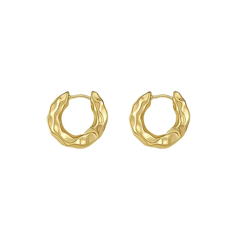 New Hot Sell Trendy 925 Sterling Silver Circle Earrings for Women Real Silver Ear Hoop Earrings