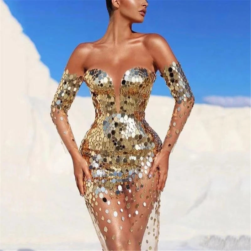 Long Sleeve Glitter Sequined Dress - Mesh Bodycon Evening Dress