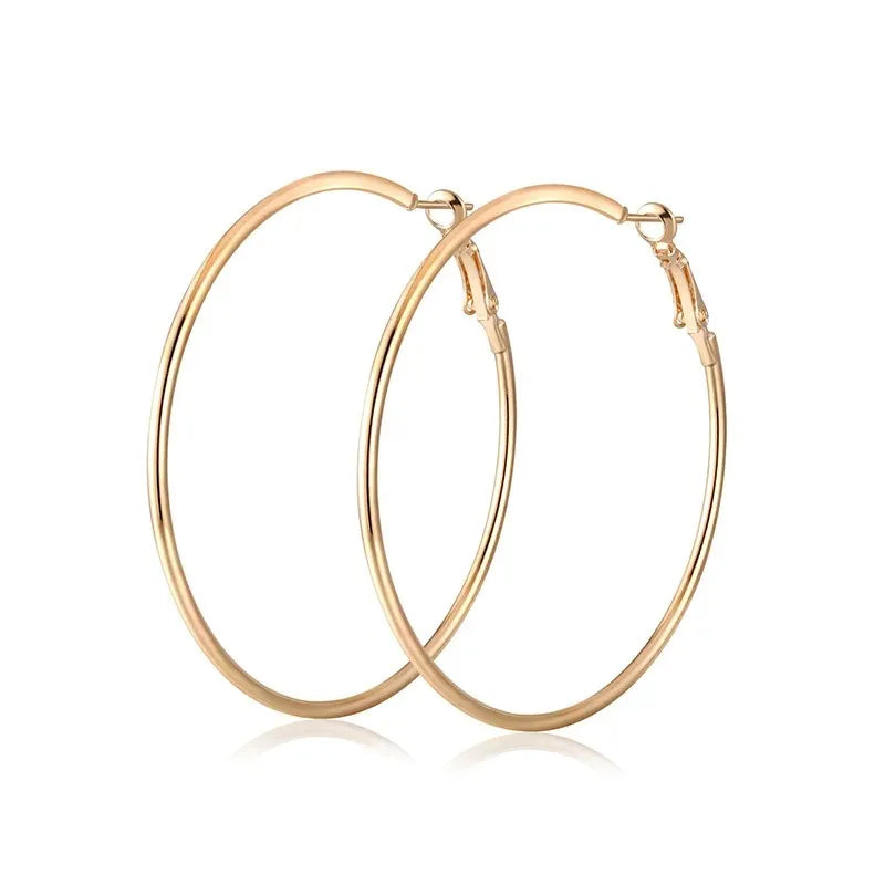 2pcs 30-100mm Small Big Circle Hoop Earrings for Women Men, Stainless Steel Ear Ring Fashion Jewelry Gift Nightclub DJ